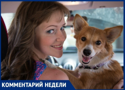 «Укус клеща может оказаться смертельным для животного»: Алена Семина об опасном заболевании