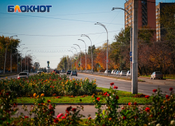 Волгодонск закрепился в числе городов с благоприятной средой