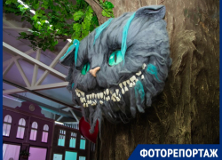 Алиса, Шляпник, Чеширский кот и другие: тематический детский центр развлечений открылся в Волгодонске