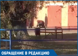 Волгодонец ради развлечения цинично пинал бомжа в живот 