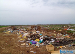 В Волгодонске Жуковское шоссе превратили в мусорную свалку