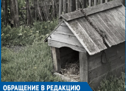 В дверь была воткнута квитанция на оплату штрафа и лежал мертвый пес, - женщина хочет найти виновного в смерти ее любимца