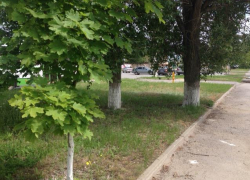 Очередное ДТП на перекрестке у «Камина» произошло в Волгодонске