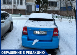 «С каких пор в Волгодонске дорожные знаки прикручивают на деревья?»: волгодонец