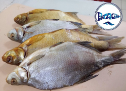 Товар дня: лещ «Цимлянский» средний всего 300 руб./кг