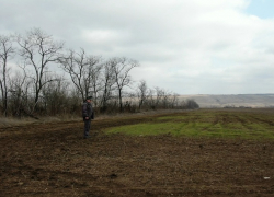 Свалку на 3,6 гектара убрали в Волгодонском районе после предостережения Россельхознадзора