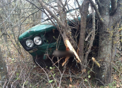 Пьяный водитель врезался в дерево в Цимлянском районе