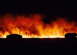 В Волгодонске в районе В-9 снова горел сухостой