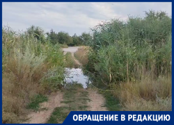 «В залив текут сточные воды»: волгодонцы бьют тревогу из-за загрязнения старого пляжа В-9