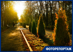 Время словно замирает: как выглядит окутанный в янтарные краски Волгодонск осенью
