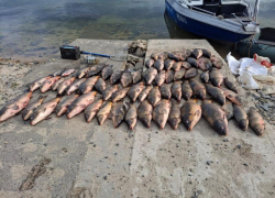 Браконьеров с электроудочкой задержали на Цимлянском водохранилище 