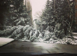 Фото последствий стихии, сделанные волгодонцами