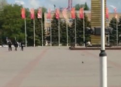 Мужчина украл цветы с обелиска Победы в Волгодонске