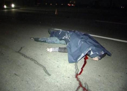 Бродившего по трассе бомжа насмерть сбил ВАЗ-21144