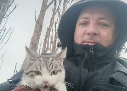 Для спасения кошки с 30-метровой высоты в хуторе Рябичев волонтеры провели спецоперацию с использованием автовышки