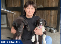 «Бороться нужно с бездомностью, а не с собаками: почему проблема бродячих животных - вина человека», - зооволонтер Лариса Семина 