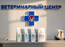 Когда питание - залог успешного лечения: как помочь питомцу при хронических заболеваниях