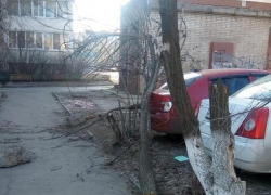 Дерево упало на припаркованные машины на проспекте Строителей 
