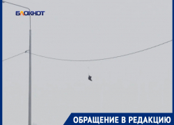 «Птица высокого полета или Золушка потеряла туфельку?»: неизвестный предмет на линии электропередач будоражит фантазию волгодонцев