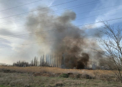 Сухой камыш загорелся в Волгодонске напротив «Атоммаша»
