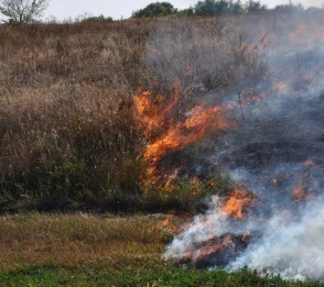 Цимлянский район стал самым пожароопасным местом в области