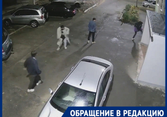 «Дураков на Руси на сто лет припасено»: волгодонцы о хулиганах, разбивших мусорную урну ногами