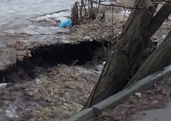 Дерево упало в новый канализационный провал на В-16