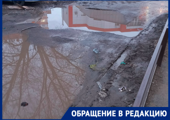 Волгодонцы призвали бизнесменов латать ямы на дорогах и приводить в порядок участки у своих заведений 