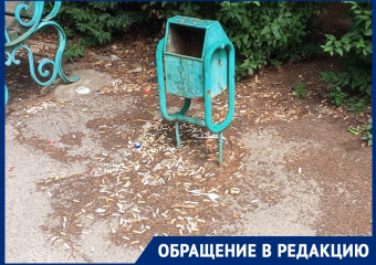 «Окурки и пустые банки вокруг лавочек»: сквер Машиностроителей, по мнению волгодончанки, стал хуже 