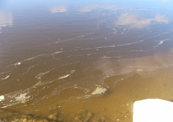 Волгодонский водоканал обвинили в загрязнении Дона ядовитыми веществами