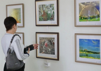 Как красив Донецк, несмотря на войну: в Волгодонске открылась выставка посвященная столице ДНР