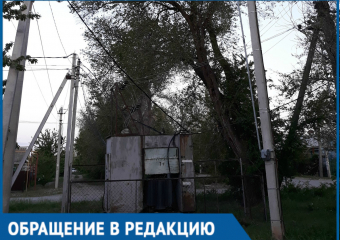 Жители Красного Яра называют "бомбой замедленного действия"опасное дерево 