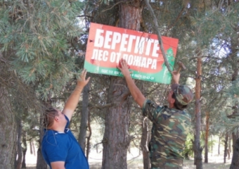 За 2,2 миллиона рублей в Волгодонске в 2019 году будет обеспечена охрана и защита лесов