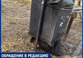 «Мусорное ноу-хау»: урны без дна установили на аллее в старом городе