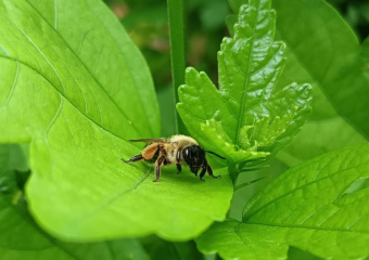 Солнечный день ждет сегодня Волгодонск