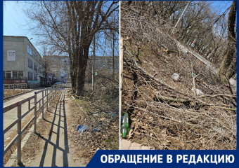 «21 век на дворе, а мы просто утопаем в мусоре»: волгодончанка о пешеходной зоне в ЮЗР