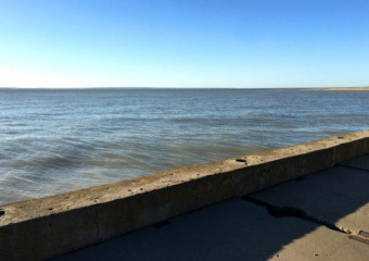 В Цимлянском водохранилище проведут работы по его оздоровлению и реконструируют очистные сооружения Волгодонска