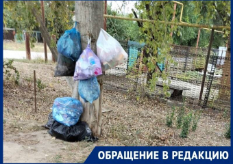 «От Кооперативной до Северной мешки мусора стоят у дороги»: волгодонцы задаются вопросом, почему не вывозят