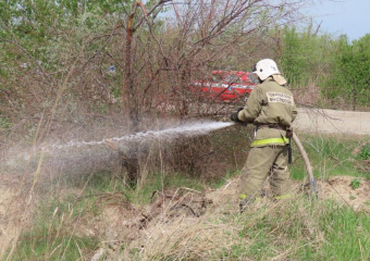 Крупный условный ландшафтный пожар потушили возле Волгодонска
