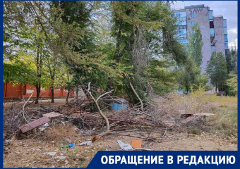Обломанные деревья и горы мусора скоро заставят людей обходить это место