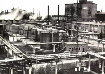 60 лет назад в Волгодонске стали делать импортозамещающее кокосовое масло 