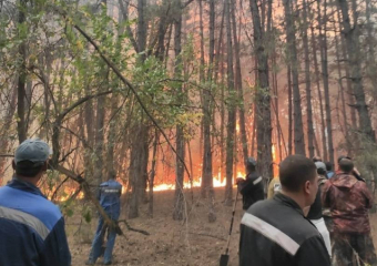 Через три дня в Волгодонске вводится особый противопожарный режим 