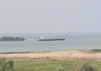 Более 90 тысяч тонн зерна вывезли из порта Волгодонска за месяц 