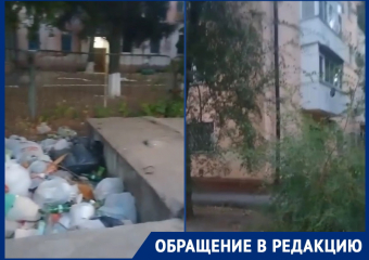 «Почему у нас люди такие свиньи?»: волгодончанка призвала к совести людей, бросающих во дворе мешки с мусором