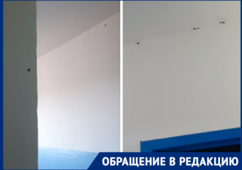 «Тараканы заполонили наш подъезд и лезут в квартиры»: волгодонцы
