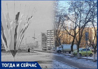 Улица 30 лет Победы, которую сегодня не узнать: как выглядел Волгодонск в 80-е годы