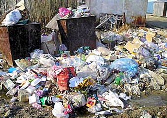 Волгодончанка перепутала тушку кролика с мертвым младенцем