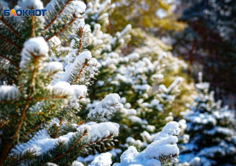 «Будет много снега и мороз»: в новогоднюю ночь синоптики обещают волгодонцам зимнюю сказку