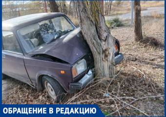 Машина в дереве: горожанка просит отозваться владельца железного коня 