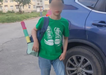 Стая собак напала на 10-летнего мальчика на муниципальном пляже Волгодонска, ребенок ранен
